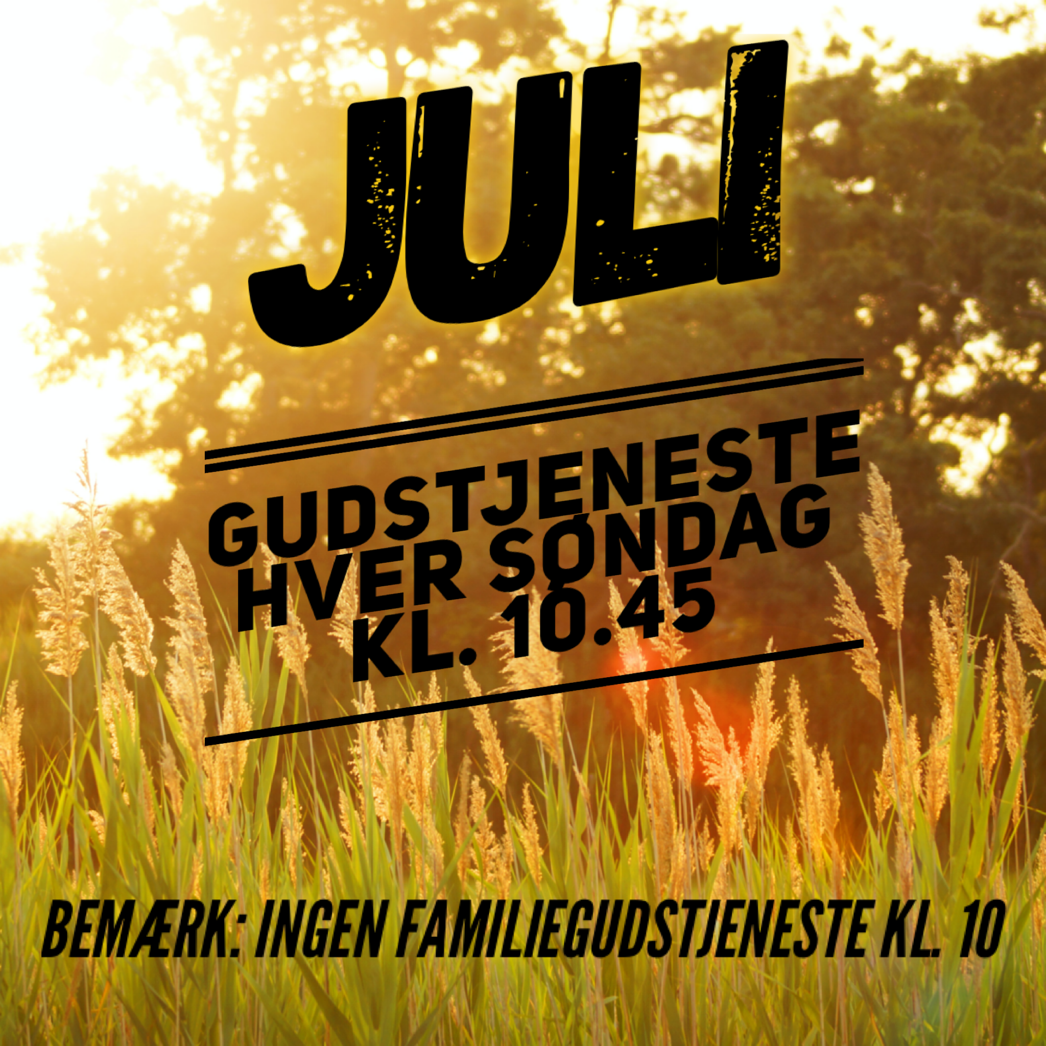 D19234BF-C700-417D-82BD-7145330E0247